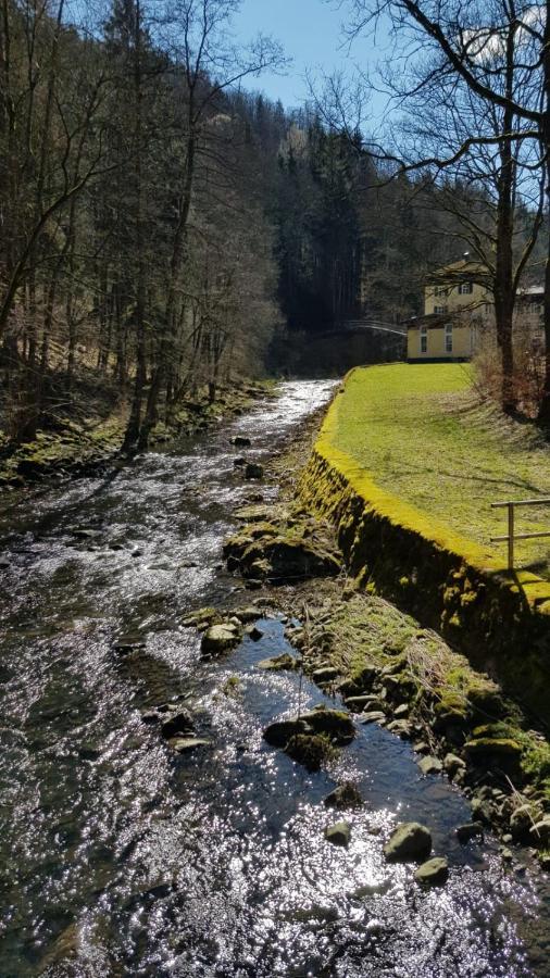 Ferienwohnung Frankenwald Naila Bagian luar foto